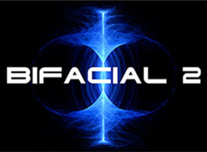 Bifacial EV Solar Panels